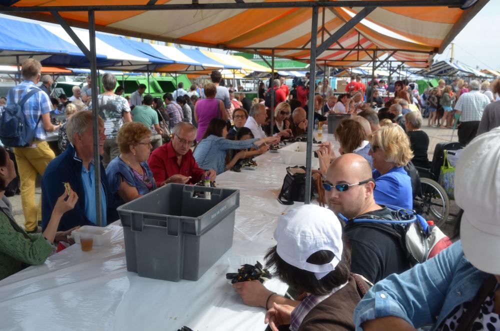 SMY2013 mosselplein 11 eten