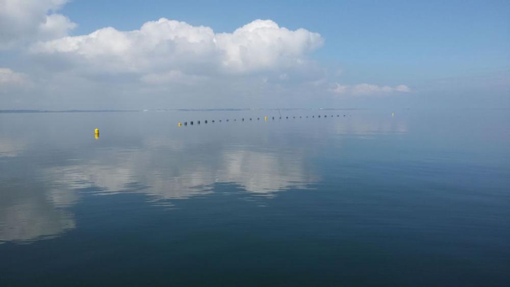 Oesterbaron IMG 0233