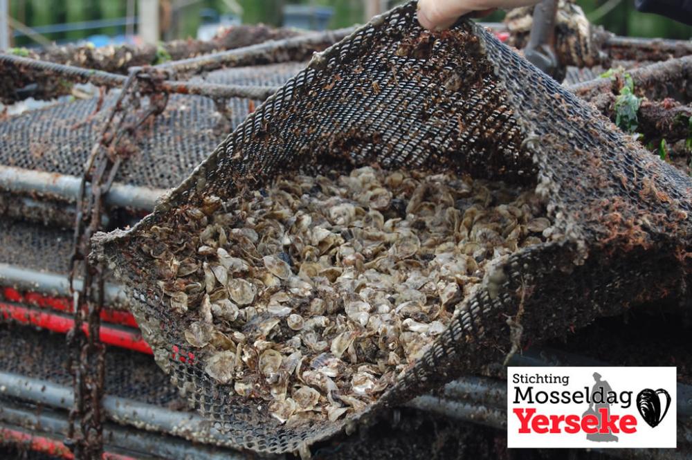 ©SPY Oesterbaron Bode DSC 0557